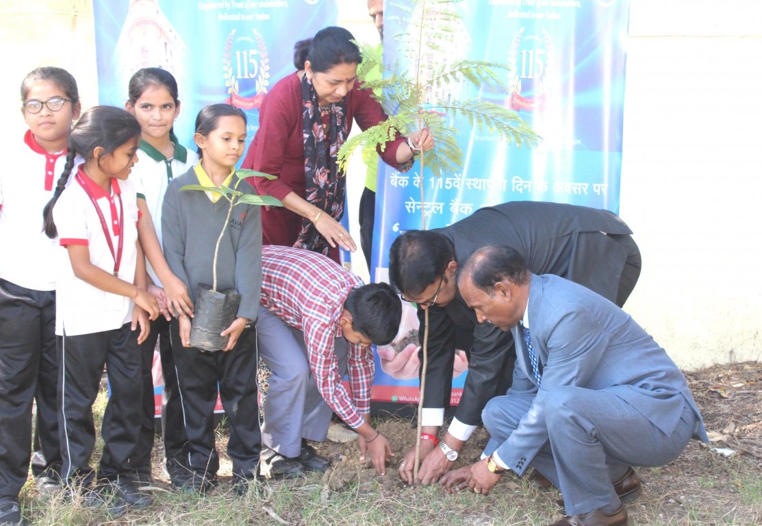 Tree Plantation Organized by Central Bank of India