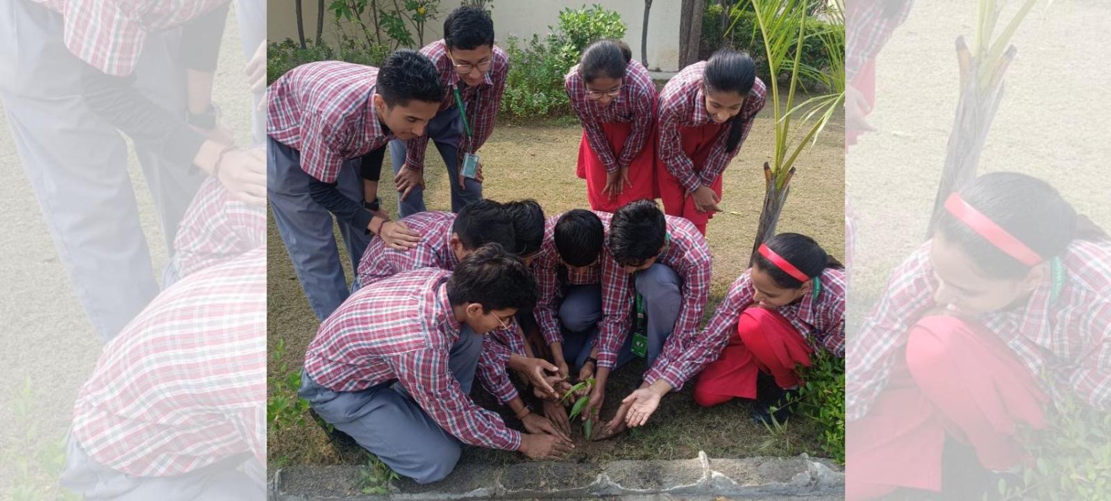 Avalon World School Waghodia