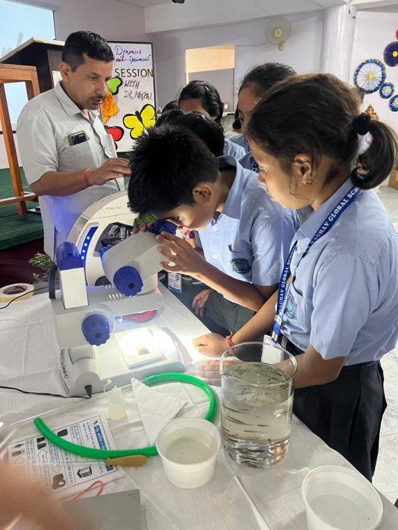 Dengue Dynamics: Insights & Specimens Grade 4-8